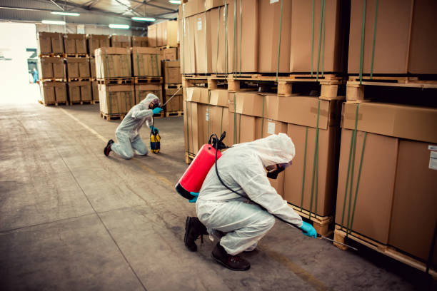 Wasp Removal Services in Hillsboro, TX