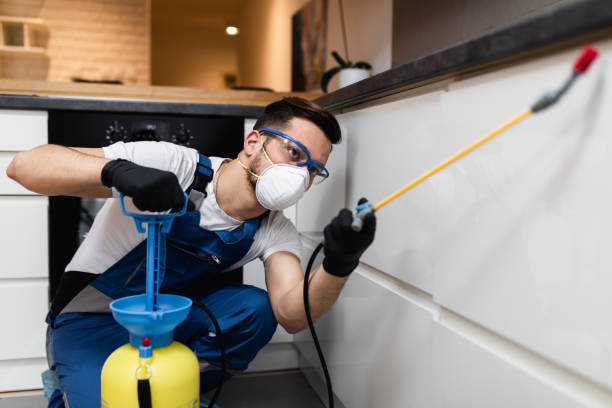 Best Cockroach Control Services  in Hillsboro, TX