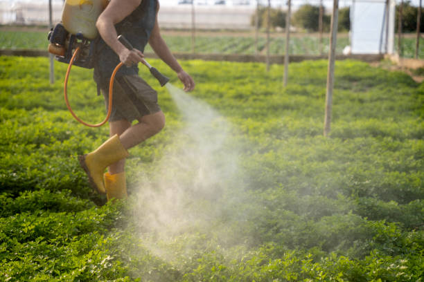 Best Pest Prevention Services  in Hillsboro, TX
