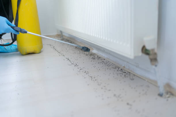 Best Commercial Pest Control Services  in Hillsboro, TX